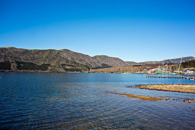 黄色vivo软件:霓虹幻影,极速视觉的超频革命-2