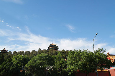 打扑克又疼又强：王牌车手，疾驰于策略与运气的交织之路-4