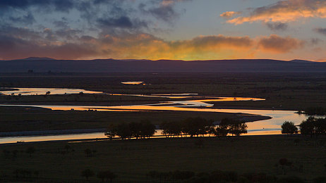 天美麻豆影视：当引擎轰鸣遇见电影叙事，沉浸式赛车新纪元开启