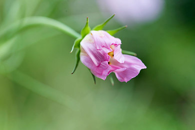 男生女生在床上的软件：夜驰双星评测，双人同屏驾驶，考验默契的赛博冒险