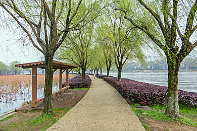 成人抖音：街头竞速新作上线，融合短视频玩法引爆虚拟赛车狂潮