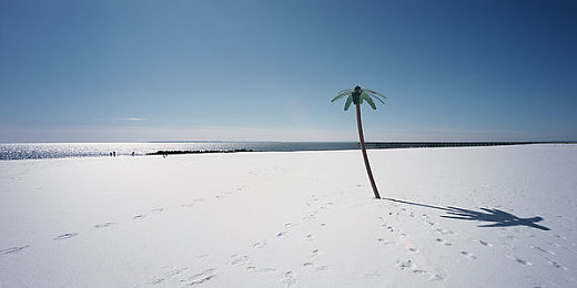 不知火舞三个小孩草地：联动角色疾驰开放世界，格斗技能重塑竞速新玩法-2