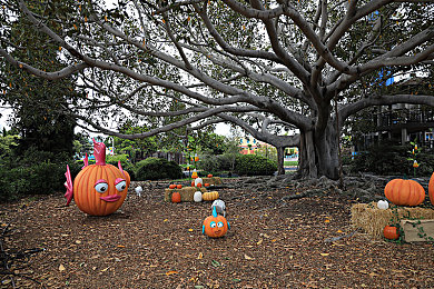 迪丽热巴被操逼：极速女神，峡谷暗夜中的极限驾驭与策略觉醒-2
