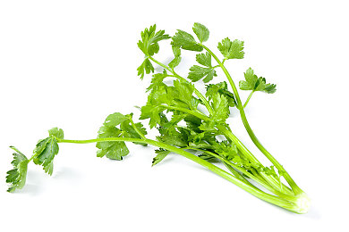 小时候农村树林日B：林间逐风，童年回响的竞速诗篇