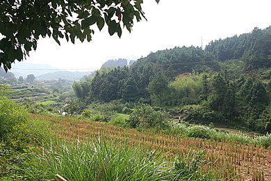 国产麻豆a：虚拟竞速新作上线，角色养成与赛道激情的创新融合