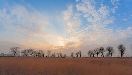 女生没穿内衣内裤图片软件：数字身份与着装自由的虚拟伦理诗篇