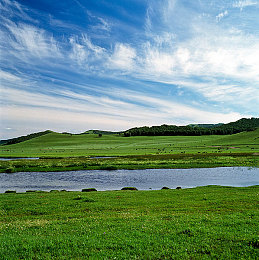 天堂a在线：极速幻境，动态都市竞速之旅