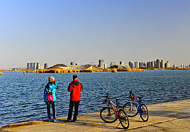 神秘电影麻豆：引擎轰鸣中破解谜案，驾驶探秘电影失踪真相