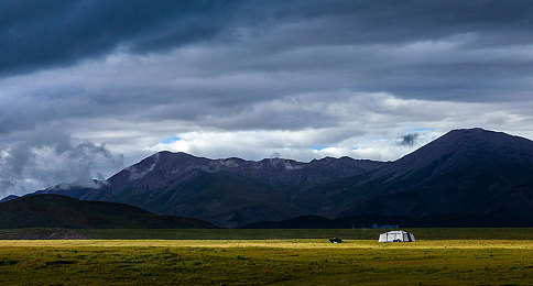 红桃38 47隐藏人口：王牌车手与九人团队的极速博弈诗篇-4