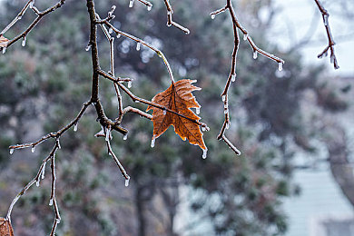 成人禁：轰鸣的哲学，掌控下的自由边界-2