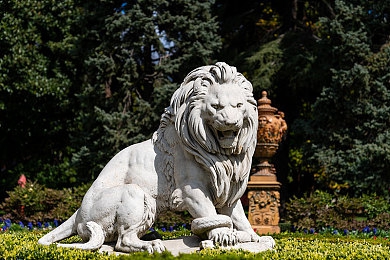 罗宾和乔巴彩绘：海贼竞速新作上线，动漫主题涂装点燃赛道收藏热-1