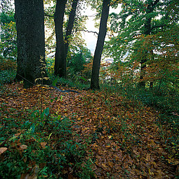 登录69乐园平台:霓虹都市狂飙,改装竞速征服赛博朋克世界-2