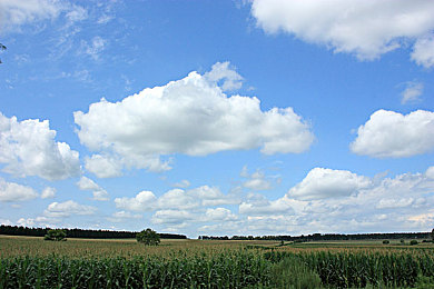 男生和女生一起差差差,APP：差异化能力重塑竞速体验，极速搭档开启双人协作新纪元-2