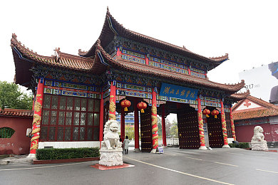 黄太子安装软件：金色经典跑车的终极性能调校指南