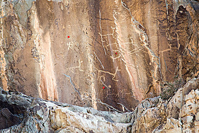 暴躁大妈2农场女儿角色剧情介绍森林:归乡物语,旧林心痕与新生序章-2