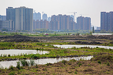 黄色APP下载3.0.3：像素赛车新版本上线，动态天气系统颠覆竞速体验