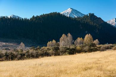 亚洲女人毛毛多毛耸耸:东方神话开放世界,驯兽生存冒险之旅-4