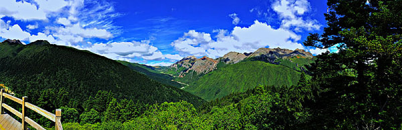 《男生和女生差差》：打破刻板印象，性别差异化赛车游戏开启策略竞速新体验
