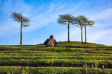 TIKTOK色板2.4.6：当涂装成为赛道胜负手，艺术竞速游戏引爆设计风潮-3