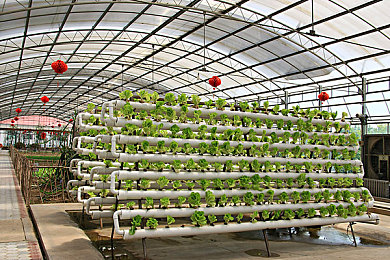 一男一女搞基软件：双人协同驾驶革新竞速游戏，默契配合打破赛道纪录-4