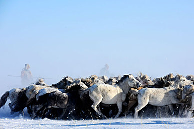 男生女生差差差免费下载大全：双模式竞速手游上线，性别视角切换引爆全新驾驶体验-2