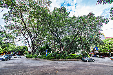 男女污污软件：极速刻痕，赛道共舞，改装社交竞速之旅