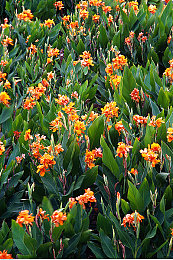 二膜三叉四膜五注免费的功能介绍：极速工坊，调校与涂装的无尽探索之旅-3