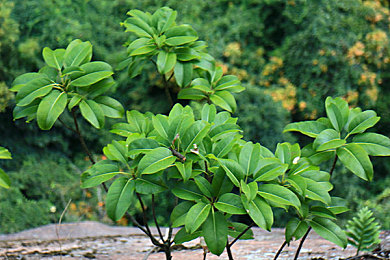 汤不热大剧院破解免费版下载：极速剧院幻影巡演，体验艺术赛道与竞速狂想曲-2