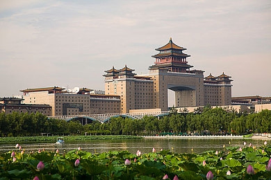 火爆社区向日葵iOS：追逐数字日光，在移动地平线上自由驰骋的极速之旅-2