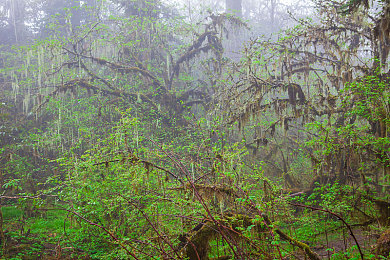 404黄色软件平台：虚拟赛道极速狂飙，数据世界驾驶新体验