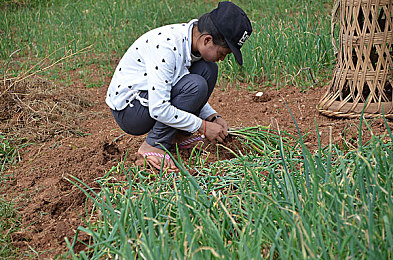 男生差差女生:当差异成为默契,双人赛车共舞赛道新纪元-3