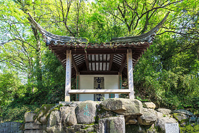 伊朗女人大白屁股:极速魅影,德黑兰街头的改装艺术与竞速策略-2