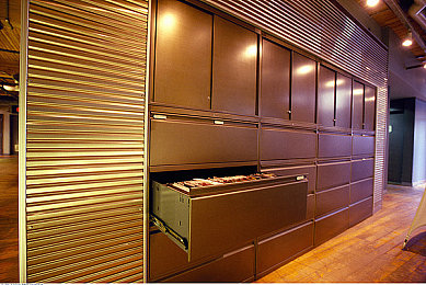 不知火舞三个小孩草地：联动角色疾驰开放世界，格斗技能重塑竞速新玩法-3