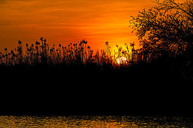 wwwxxx少妇：霓虹雨夜，改装传奇，极品飞车地下狂飙重温街头速度灵魂-2