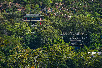 蜜股AV：听觉导航，山谷竞速，动态甜蜜路线狂飙