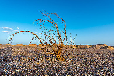 黄色30.3：极速回旋，阿尔卑斯山脊的致命弯道哲学-3
