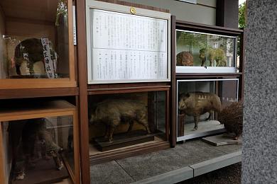 李梓熙香港摄影师合作作品：极限竞速地平线全新港风视觉，霓虹雨夜赛道驰骋光影艺术-2