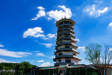 男生靠女生的软件：双人协同驱动未来赛车，全新游戏颠覆传统竞速体验