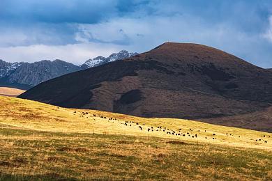 麻豆传媒MD：虚拟偶像赛道，星光与引擎的共舞-3