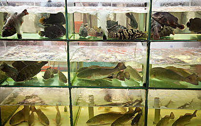 黄色oppo免费软件：极限竞速地平线5，墨西哥风情中驾驭亮色超跑-2