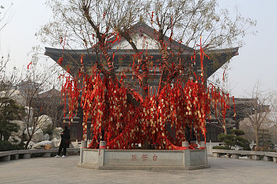 挠脚心+折磨+抹油+哭喊作文:当你的方向盘因疼痛而颤抖,一场与机械灵魂共舞的残酷竞速-2