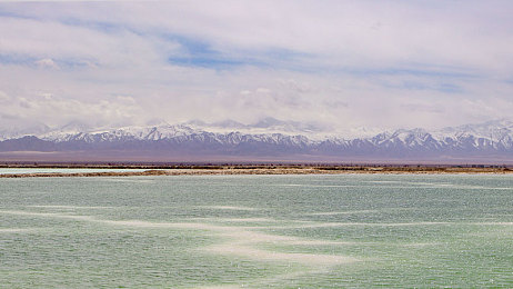 亚洲一区二区懂：霓虹雨林，东方极速的弯道哲学-5