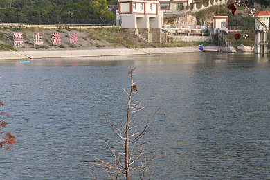 国产成人教育AV：霓虹胎痕，都市竞速中的道德抉择与心智试炼-1