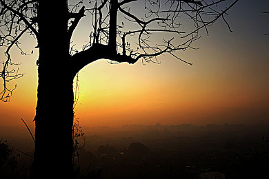 柤大一区二区：征服极限弯道与极速直道，地平线赛道双面驾驶艺术全解析-3