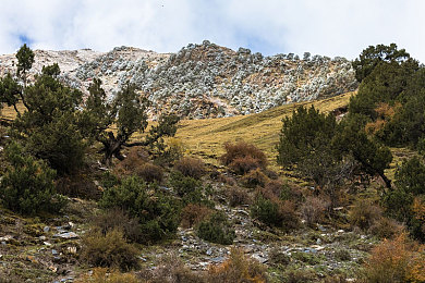 操你软件：代码叛客，极速觉醒的虚拟赛道革命-2