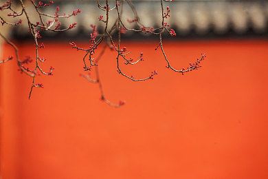 登录69乐园平台:霓虹都市狂飙,改装竞速征服赛博朋克世界-3