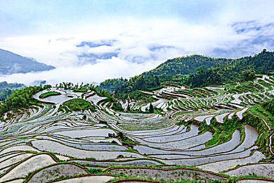 黄色软件app下载免费2023 3.3.3：极速狂飙2023全新免费版上线，海量豪车与流畅对战等你体验-2