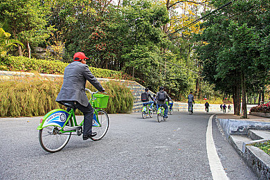 男生和女生上差差：极速差分今日上线，性别策略革新赛车游戏玩法-3