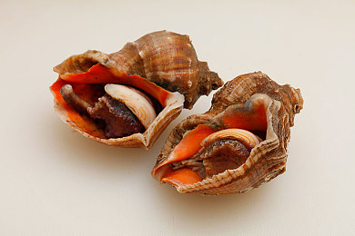 刺激的淫娇妻经历:驾驭狂野座驾,在墨西哥开放世界尽享竞速之旅-3