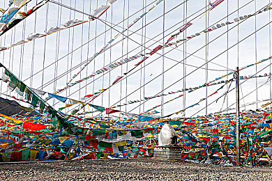 机机通机机手机免费下载费:今日上线,免费体验真实改装竞速,挑战街头极速传说-4